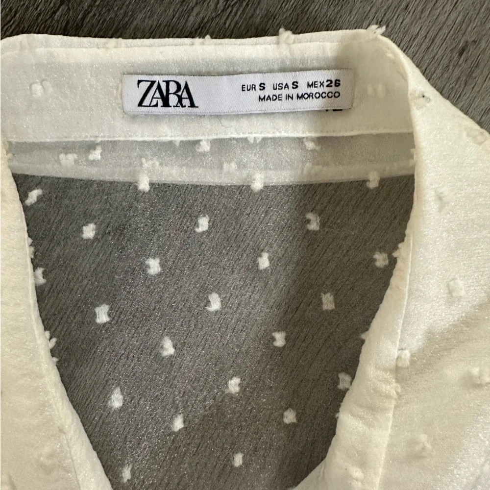 🌻 Zara Sheer Swiss Dot Puff-Sleeve Blouse 🌻
